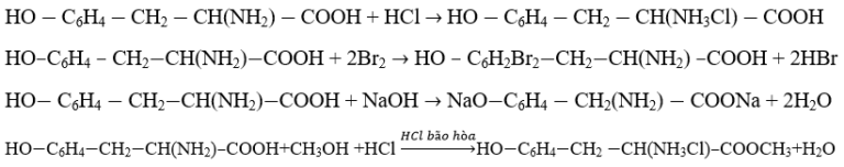 Chương 3 – Bài 12: Luyện tập: Cấu tạo và tính chất của amin, amino axit và protein