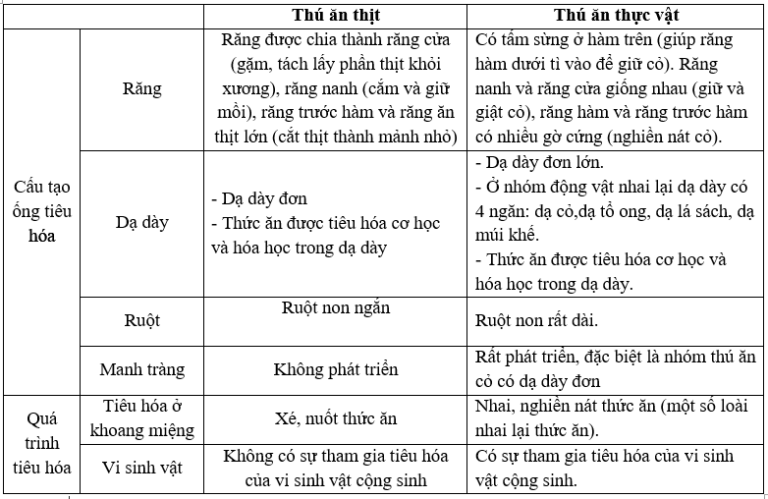 Chương I – Bài 16: Tiêu hóa ở động vật (tiếp theo)