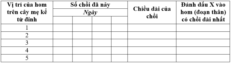 Chương IV – Bài 43: Thực hành: Nhân giống vô tính ở thực vật bằng giâm, chiết, ghép