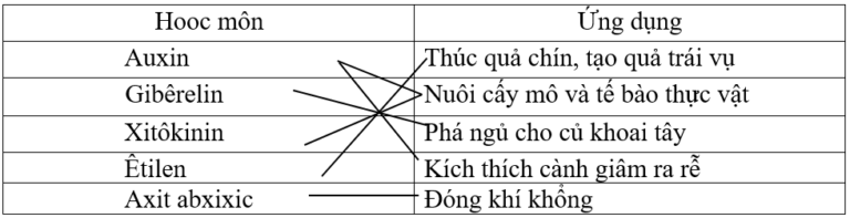 Chương IV – Bài 48: Ôn tập chương II, III và IV