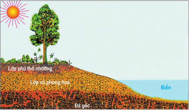 Lý thuyết Địa Lí 10 Bài 17: Thổ nhưỡng quyển. Các nhân tố hình thành thổ nhưỡng