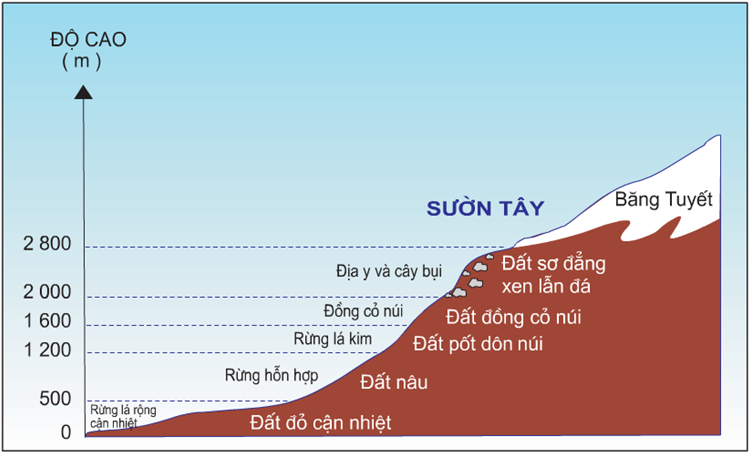 Lý thuyết Địa Lí 10 Bài 19: Sự phân bố của sinh vật và đất trên Trái Đất