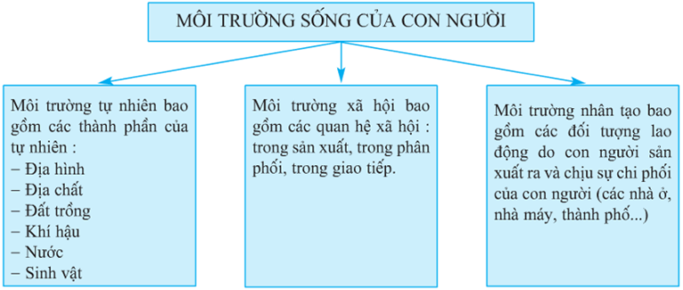 Lý thuyết Địa Lí 10 Bài 41: Môi trường và tài nguyên thiên nhiên