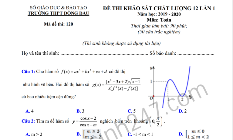 Đáp án – Đề thi thử THPT Quốc gia môn Toán THPT Đồng Đậu 2020