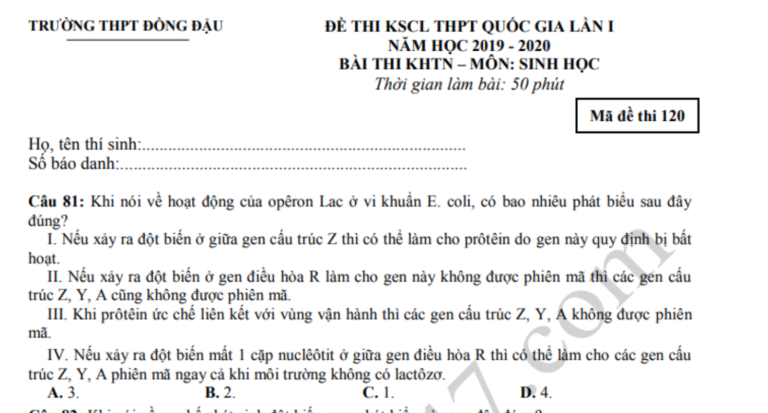 Đáp án – Đề thi thử THPTQG môn Sinh 2020 – THPT Đồng Đậu lần 1