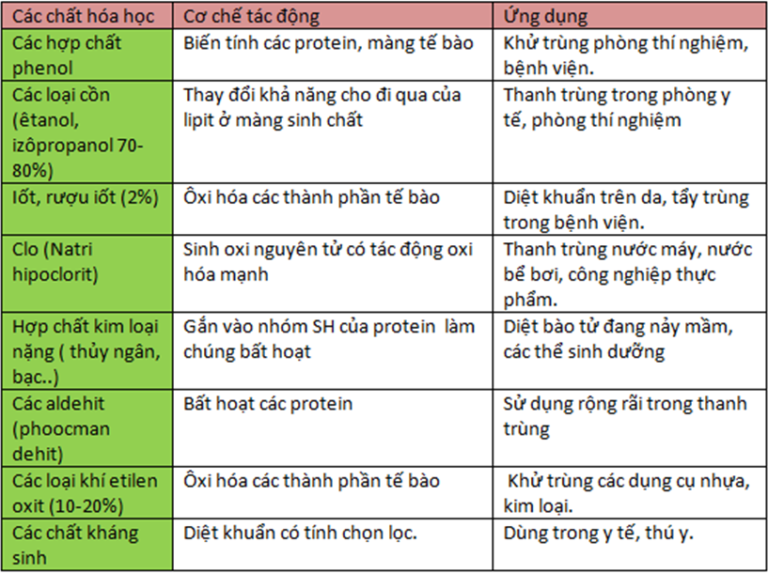 Lý thuyết Sinh học 10 Bài 27: Các yếu tố ảnh hưởng đến sinh trưởng của vi sinh vật