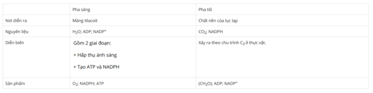 Lý thuyết Sinh học 10 Bài 17: Quang hợp