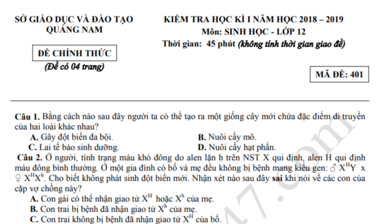 Đề thi kì 1 lớp 12 môn Sinh 2019 – Sở GD Quảng Nam