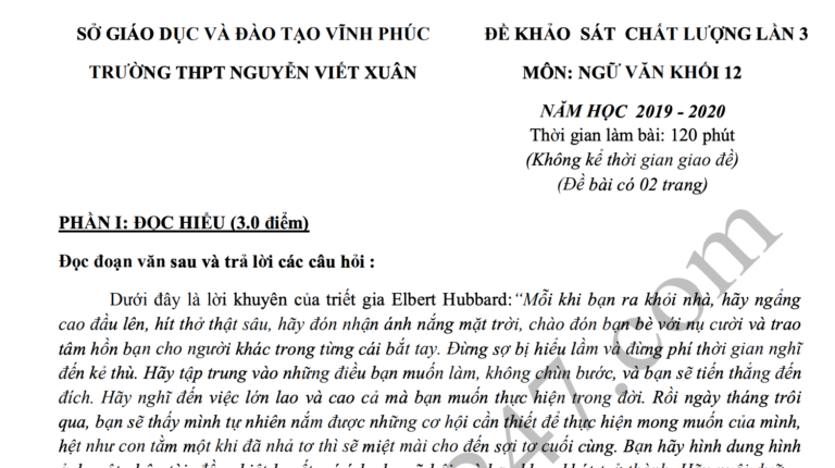 Đề thi thử THPTQG môn Văn 2020 – THPT Nguyễn Viết Xuân lần 3 – Đáp án chi tiết