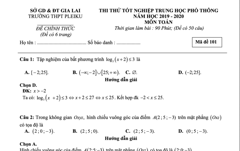 Đề thi thử tốt nghiệp THPT 2020 môn Toán trường THPT Pleiku – Gia Lai