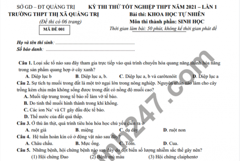 Đề thi thử tốt nghiệp THPT 2021 môn Sinh – THPT Thị xã Quảng Trị (Có đáp án)